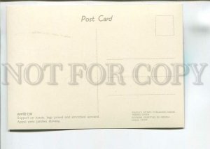 181789 Chinese gymnastics old postcard