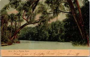 Vtg 1906 On A Florida River FL Old Antique Undivided Back Postcard