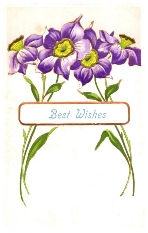 Flowers ,  Best Wishes