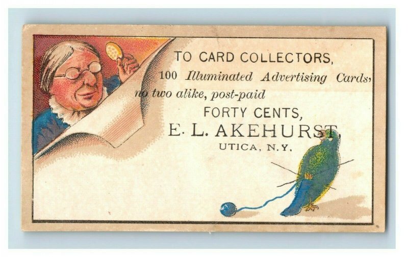 1870s-80s Illuminated Advertising Cards E.L Akehurst Owl Bird Dog Lot Of 6 P201 