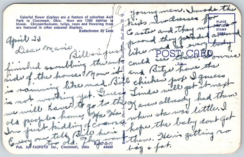 Cincinnati Ohio 1950s Postcard Colorful Flower Display Ault Park