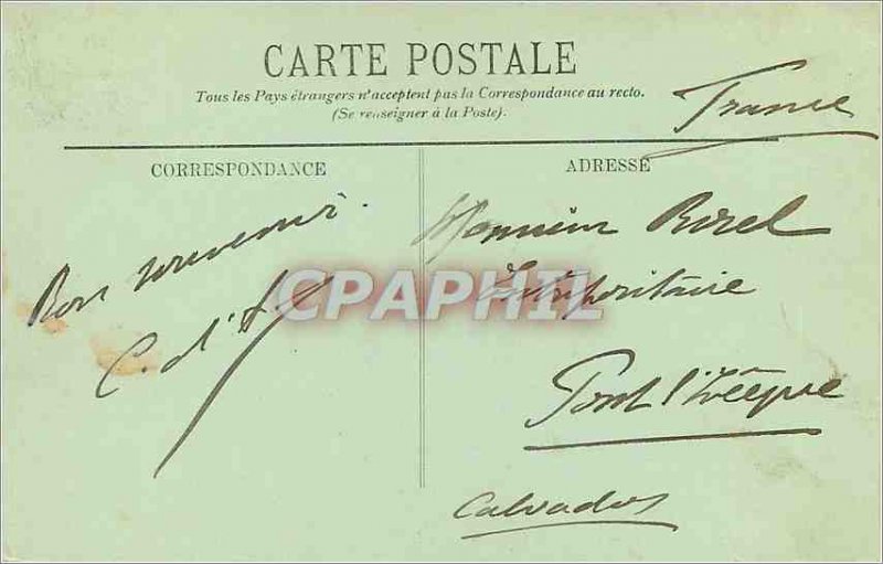 Old Postcard MONTE CARLO � Palm Group