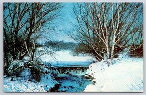 Hales Corners Wisconsin~Alfred Boerner Botanical Gardens Winter Scene~Vintage PC