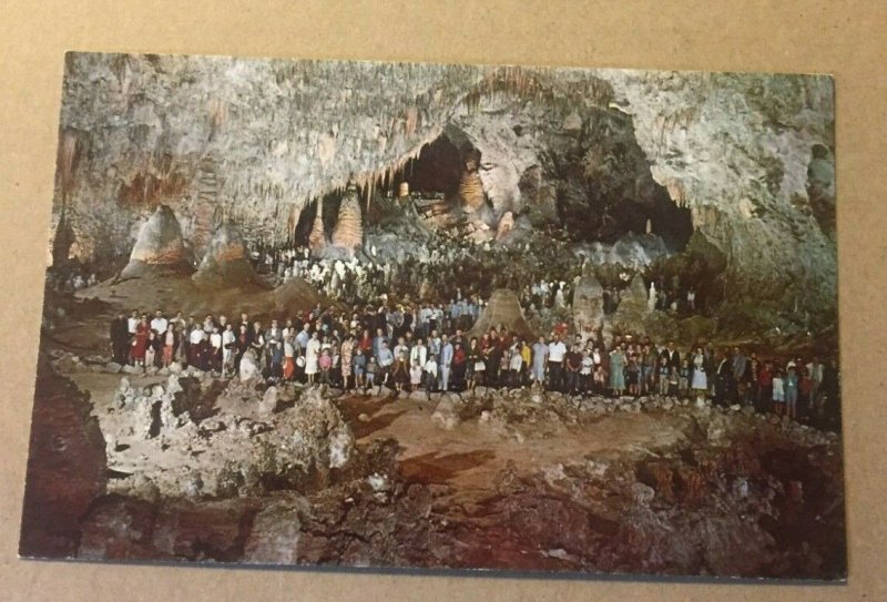 VINTAGE UNUSED  POSTCARD THE BIG ROOM CARLSBAD CAVERNS NATL PARK, NEW MEXICO