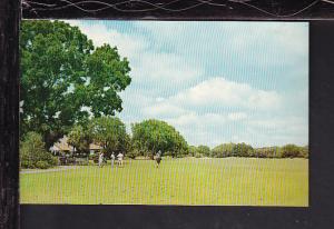 Sea Island Golf Course,Retreat Plantation,GA Postcard 