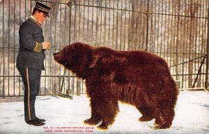 Alaskan Brown Bear New York Zoological Park, USA Unused 