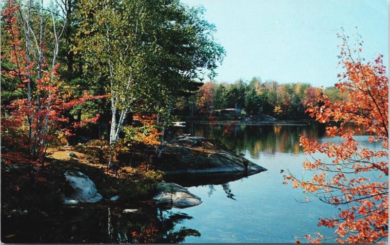 Muskoka Autumn Scene near Bracebridge ON Ontario Vintage Postcard D70