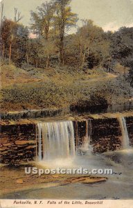 Falls of the Little Beaverkill - Parksville, New York NY  