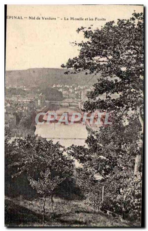 Epinal - Greenery Nest Moselle and Bits - Old Postcard