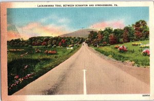 Postcard ROAD SCENE Between Scranton & Stroudsburg Pennsylvania PA AJ3495