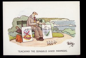 BES080 - Teaching Seagulls good manners - Besley comic postcard