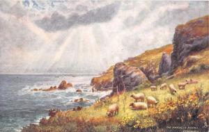 MANACLE ROCKS CORNWALL UK TUCK PICTURESQUE COUNTIES #7117 POSTCARD 1900s