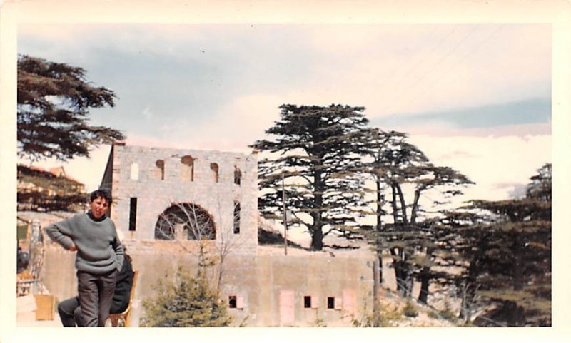 Cedars, Lebanon , Carte Postale writing on back 