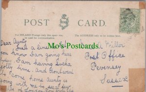 Genealogy Postcard - Miller, Post Office Pevensey, Sussex GL706