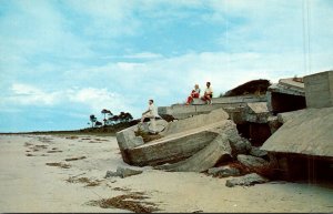 South Carolina Hilton Head Island Sea Pines Plantation Ruins Of Gigantic Stea...