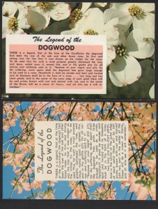 Lot of 2 The Legend of the Dogwood the time of the Crucifixion pm1972 ~ Chrome