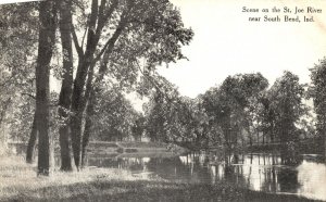 Vintage Postcard Scene on St. Joe River Tall Trees Near South Bend Indiana IN