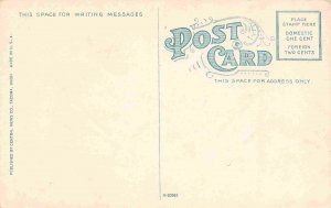 Business Section Tacoma Washington 1910c postcard