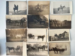 120x Horse Wagon Buggy Sleigh c1910 Antique RPPC Photo Postcard Collection Lot