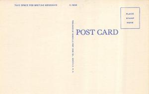 ROANOKE, VA  Virginia     THE LOOP ON MILL MOUNTAIN    c1940's Linen Postcard