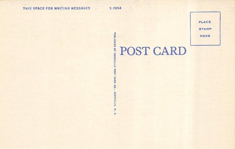 ROANOKE, VA  Virginia     THE LOOP ON MILL MOUNTAIN    c1940's Linen Postcard