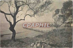 Postcard Old Antibes Vue Generale