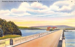 Bridge at Dividing Weir Ashokan Bridge, New York