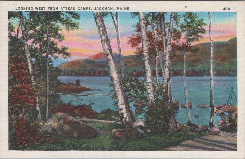 Postcard Looking West from Attean Camps Jackman Maine ME