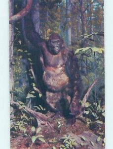 Chrome NATURAL SCIENCE MUSEUM Philadelphia Pennsylvania PA AG1015