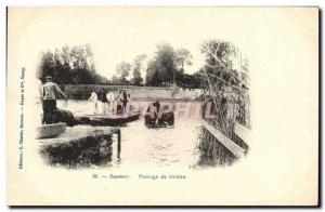 Old Postcard Saumur Horse Equestrian River Passage