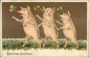TUCK Christmas Series 8151 Dancing Pigs Fantasy 1904 Used Postcard xst