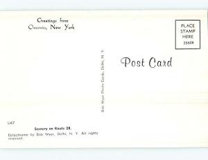 Unused 1950's GREETINGS FROM - ROUTE 28 AUTUMN SCENE Oneonta New York NY Q8556