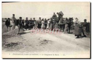 Old Postcard Folklore Wine Harvest Vineyard in the Medoc Loading TOP grapes