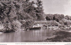 Illinois White Pines Forest State Park Rustic Bridge