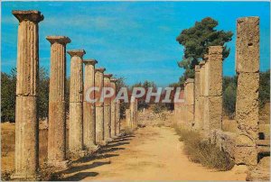 Postcard Modern Olympia The Palastre