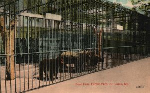 Vintage Postcard 1910's Bear Den City Public Forest Park St. Louis Missouri MO