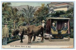 1912 M.O.P. Passengers at Madeira Ox Cart Portugal Antique Posted Postcard