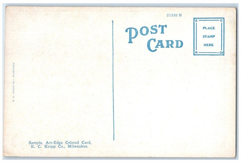 c1920 Gray Line Motor Tours Main Office Newhouse Salt Lake City Utah UT Postcard