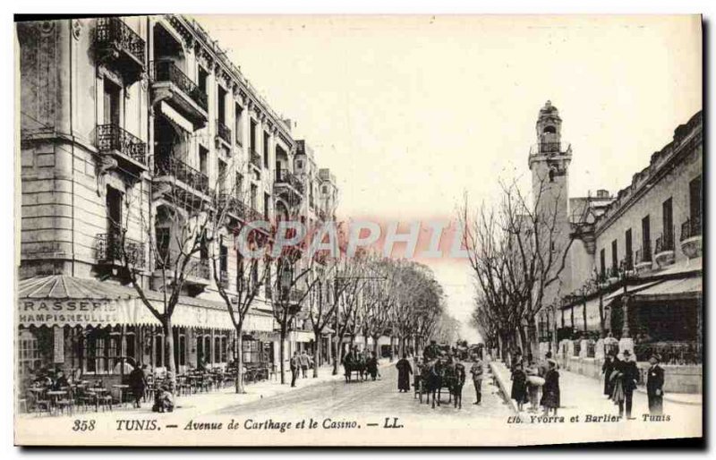 Old Postcard Tunis Carthage Avenue and Casino