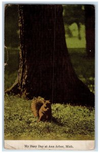 1909 My Busy Day At Ann Harbor Michigan MI, Squirrel Scene Antique Postcard