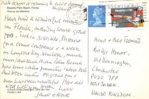 lot381 USA palm beach florida