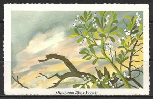 Oklahoma - State Flower - Mistletoe - [OK-002]