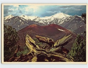 Postcard Spectacular view of the snow capped San Francisco Peaks, Arizona