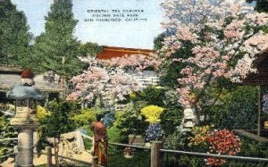 Oriental Tea Gardens, Golden Gate Park - San Francisco, California CA  