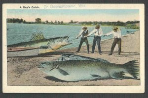 Ca 1924 PPC* A DAYS CATCH OF EXAGGERATED FISH IN OCONOMOWOC WI MINT