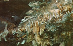 Postcard The Frozen Forest Crystal Formation Lost River Caverns Hellertown PA