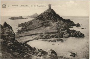 CPA Ajaccio Iles Sanguinaires CORSICA (1077986)