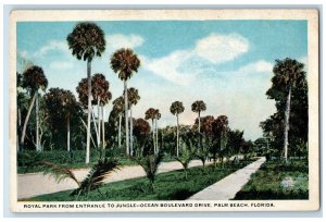 Royal Park From Entrance Jungle Ocean Boulevard Drive Palm Beach FL Postcard