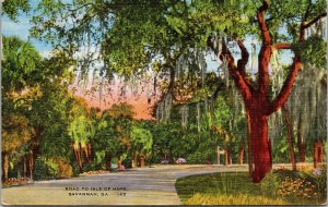 Vtg Savannah Georgia GA Road to Isle of Hope Scenic View 1940s Postcard