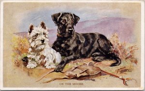 On The Moors Two Dogs White Terrier Black Labrador ? Mabel Gear Art Postcard H47